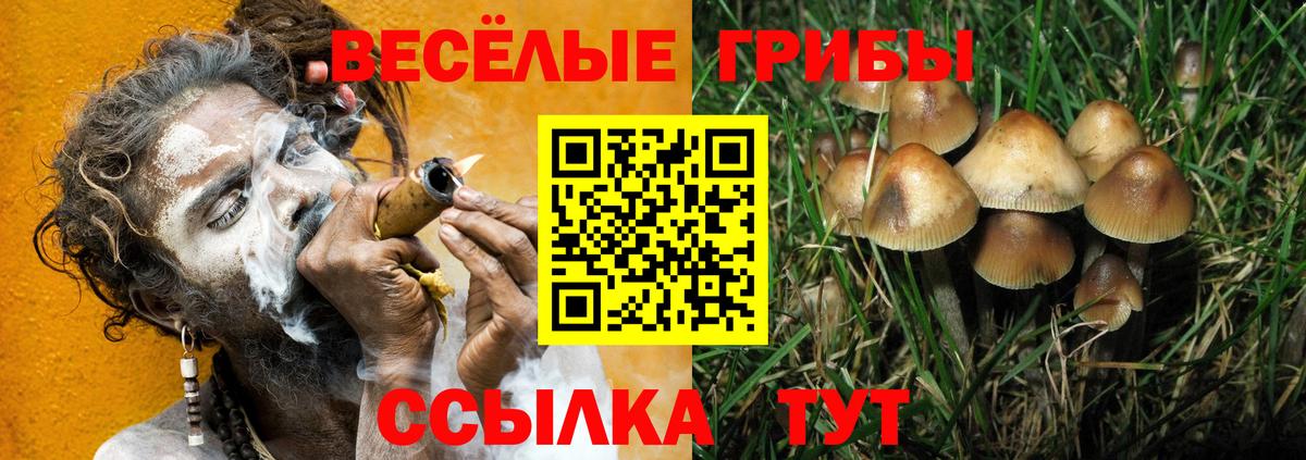 Галлюциногенные грибы Psilocybine cubensis Вятские Поляны