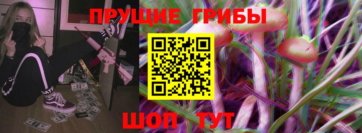 Вятские Поляны  Галлюциногенные грибы Psilocybe  купить закладку  Вход с VPN 
